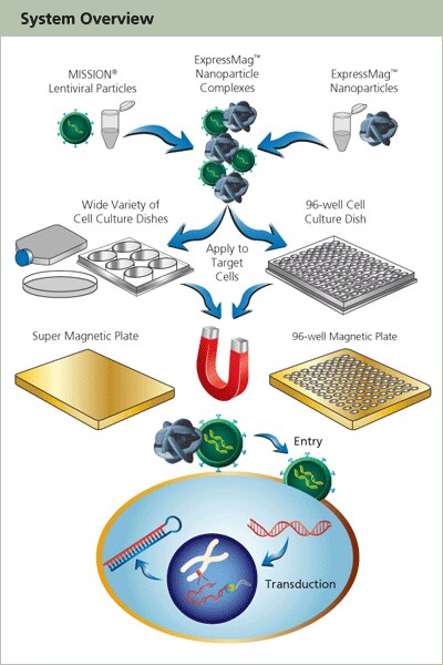 High-throughput Assay Optimization Overview