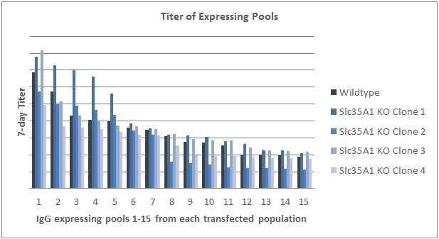 Titer obtained from fifteen pools isolated from each of the transfected populations. Pools from each population are ordered from highest titer to lowest.