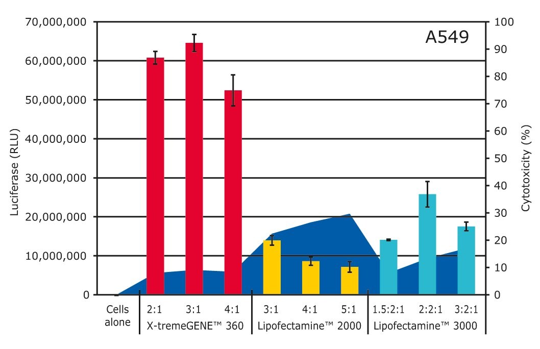 X-tremeGENETM 360 outperforms Lipofectamine® reagents in A549 cells.