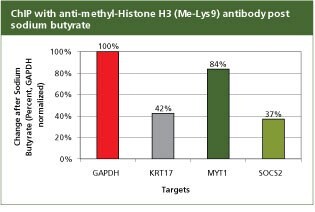 anti-methyl-histone