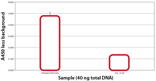 Effect of Azacytadine on CHO Cell Global Methylation