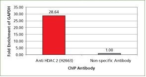 monoclonal-anti-histone