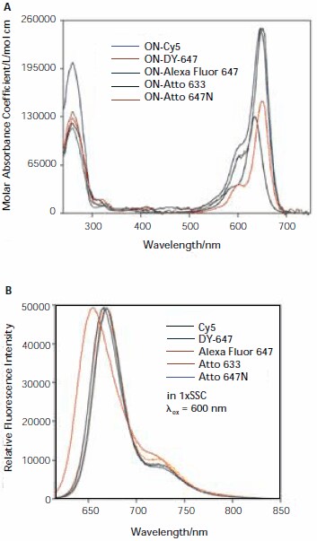 Absorption (A) and fluorescence (B) spectra of oligonucleotidedye conjugates (ON-Dye).