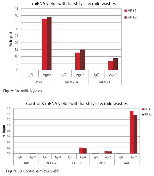 RT-qPCR results for Ago2 RIP with harsh lysis and mild washes