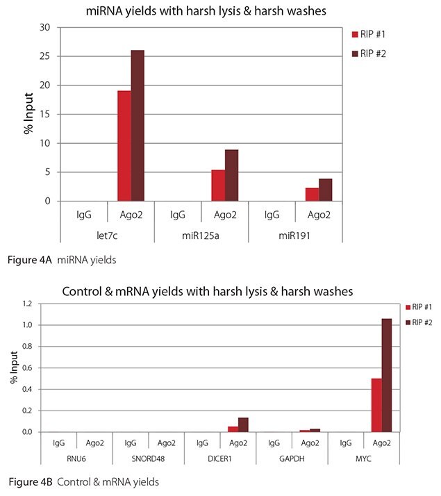 RT-qPCR results for Ago2 RIP with harsh lysis and harsh washes