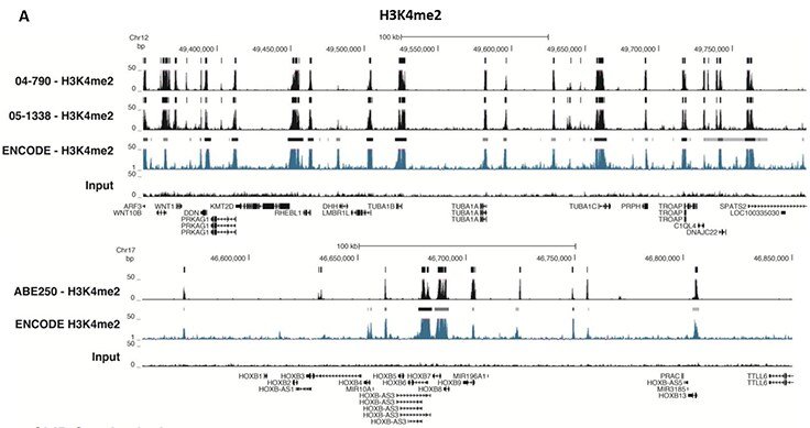 ChIP-Seq Analysis