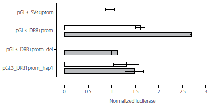 Reporter gene analysis of DRB1 promoter VDRE.