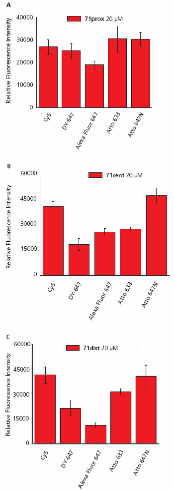 Fluorescence intensities of oligonucleotide-dye conjugates