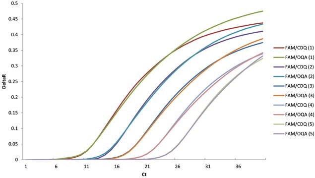 The baseline normalized data for FAM/CDQ and FAM/OQA probes. The sensitivity and end-point fluorescence are identical for each dilution.