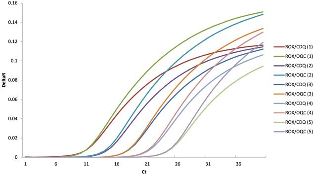 Here is the baseline normalized data for ROX/CDQ and ROX/OQC probes. The sensitivity and end-point fluorescence for OQC are either identical or superior to CDQ for each dilution.