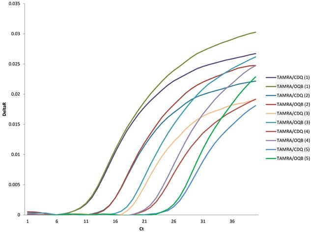 The baseline normalized data for TAMRA/CDQ and TAMRA/OQB probes. The sensitivity and end-point fluorescence of OQB are either identical or superior to CDQ for each dilution.