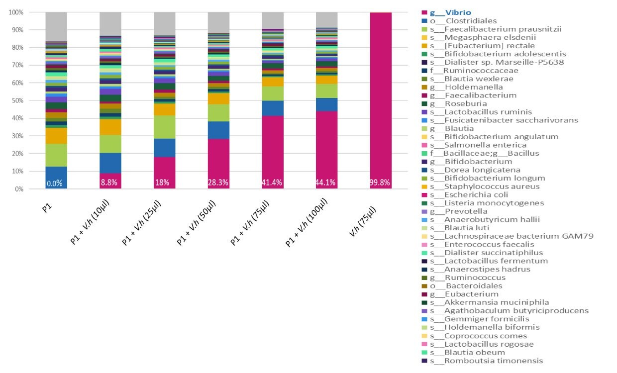 16S NGS data show that inactivated V. harveyi spiked into fecal samples can serve as control in human microbiome genomics. 