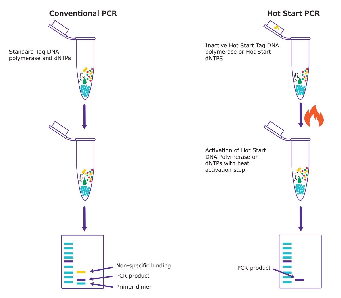 Hot Start PCR Workflow