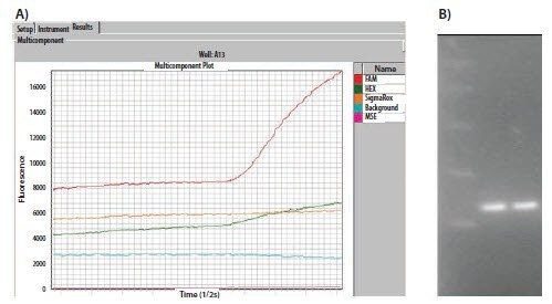 The raw data plots of a duplex assay containing a FAM and a HEXlabeled probe