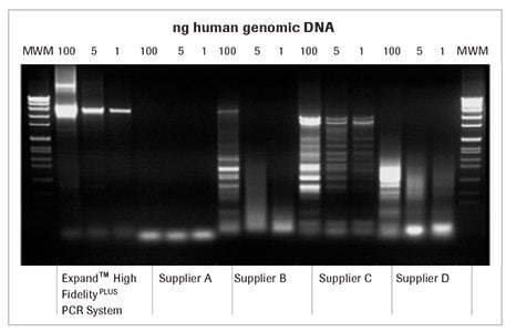 expand-high-fidelity-pcr-comparison