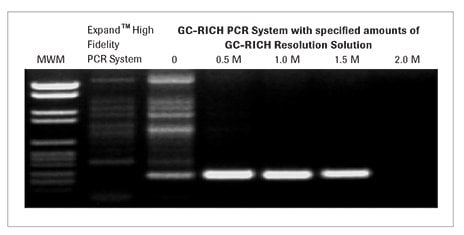 gc-rich-pcr-system-02