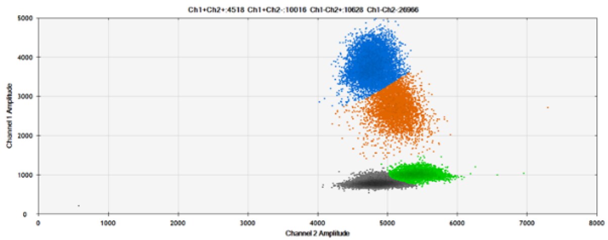 image-7-detection1