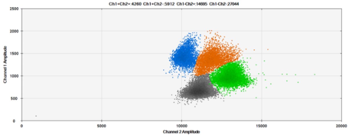 image-7-detection3