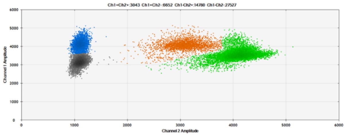 image-7-detection4