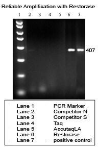 Restorase DNA Polymerase Amplification