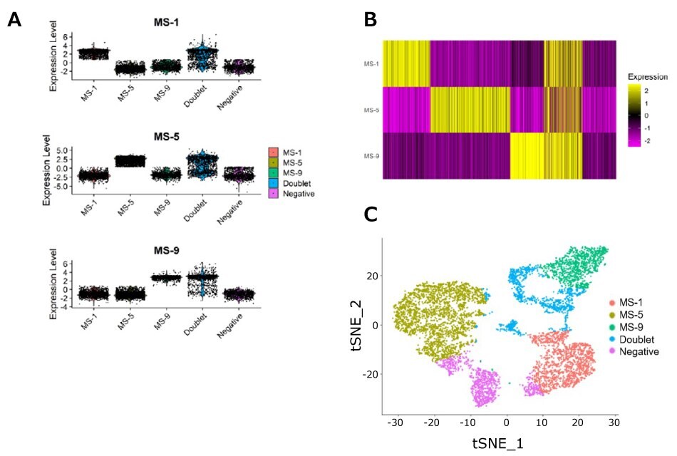 Evaluation of MULTI-seq reagents for scRNA-Seq applications.