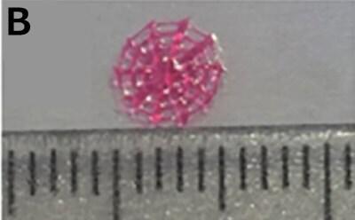 An actual 3D printed pink colored Spider web made for the HCSG breast cancer model kept next to a measuring scale, showing its diameter of 0.5 cm.