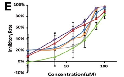 The inhibitory rate as a function of the concentration of the 13 amino acid-based flavone phosphoramidates with six different curves shown in different colors obtained in investigating pharmacodynamics