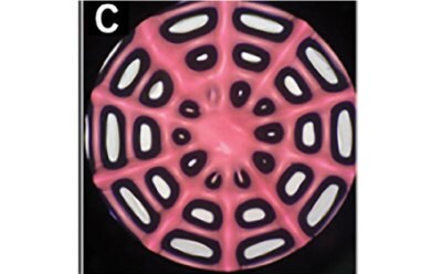 Schematic diagram of 3D printed pink colored“Spider web” with lacunas marked in black color made for the HCSG breast cancer model.