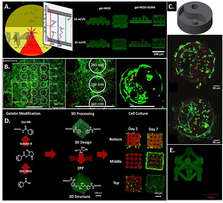 Two-photon and single-photon polymerization principle