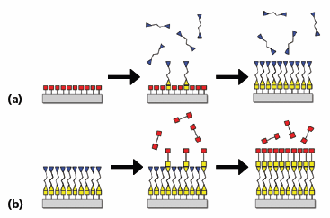 Schematic of the ALD method based on sequential, self-limiting surface reactions