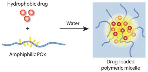 Simple but highly effective solubilization of hydrophobic drugs by amphiphilic POx.