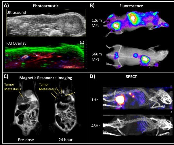 Biological imaging applications of FNP nanoparticles