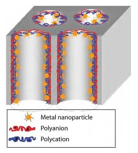 Schematic drawing of catalytic metal nanoparticles immobilized in a porous membrane using LbL deposition