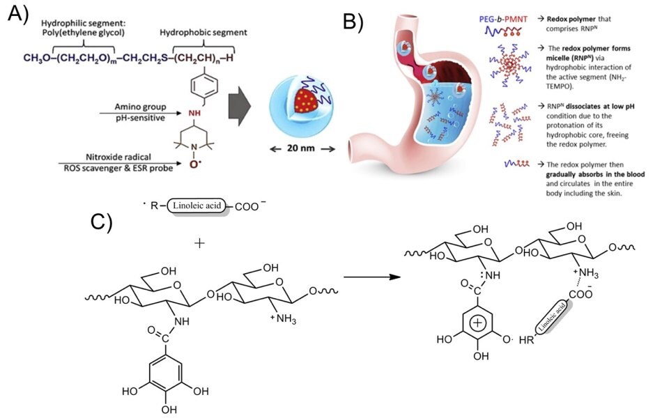Struktura chemiczna wrażliwych na pH antyoksydacyjnych nanocząstek polimerowych zawierających segment hydrofilowy (poli(glikol etylenowy) PEG), wrażliwą na pH grupę aminową i zmiatacz ROS (rodnik nitrotlenkowy)