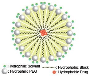 共重合体ポリマーによる薬物内包ミセルの例