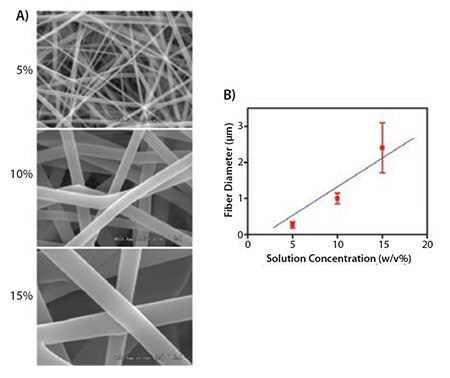 SEM images (×10K magnification) of electrospun