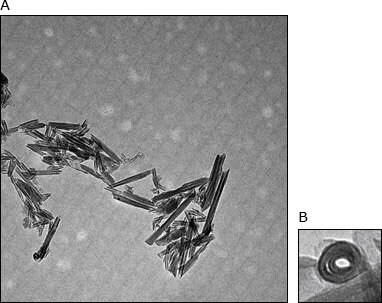 Halloysite nanotubules image