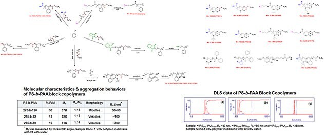 Functional RAFT Polymers