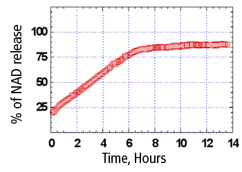 Release of macromolecules from halloysite nanotubules graph