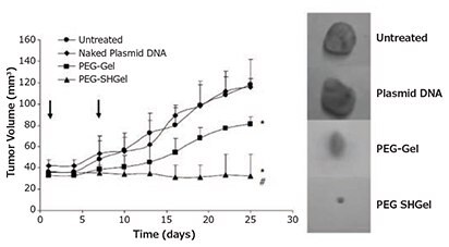 Figure 5. Highlighted nanocarrier example, thiolated and non-thiolated PEGylated type B gelatin nanocarriers loaded with pDNA encoding an anti-angiogenic agent stopped tumor growth for 20 days after intravenous administration in mice bearing orthotopic MDA-MB-435 breast adenocarcinoma xenografts. Reprinted with permission from Macmillan Publishers Ltd: Gene Therapy (Reference 17), copyright (2007).