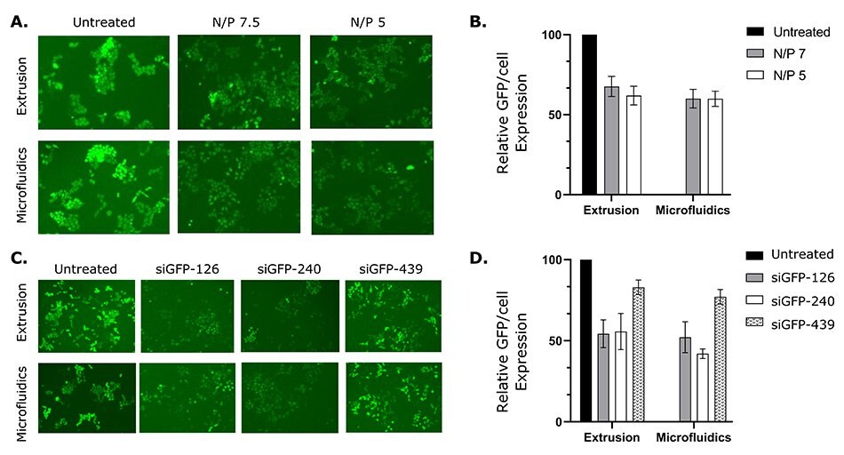 Liposomes prepared with NanoFabTx™ silence GFP expression in GFP-HeLa cells