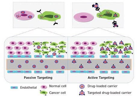 Graphical representation of passive versus active targeting.