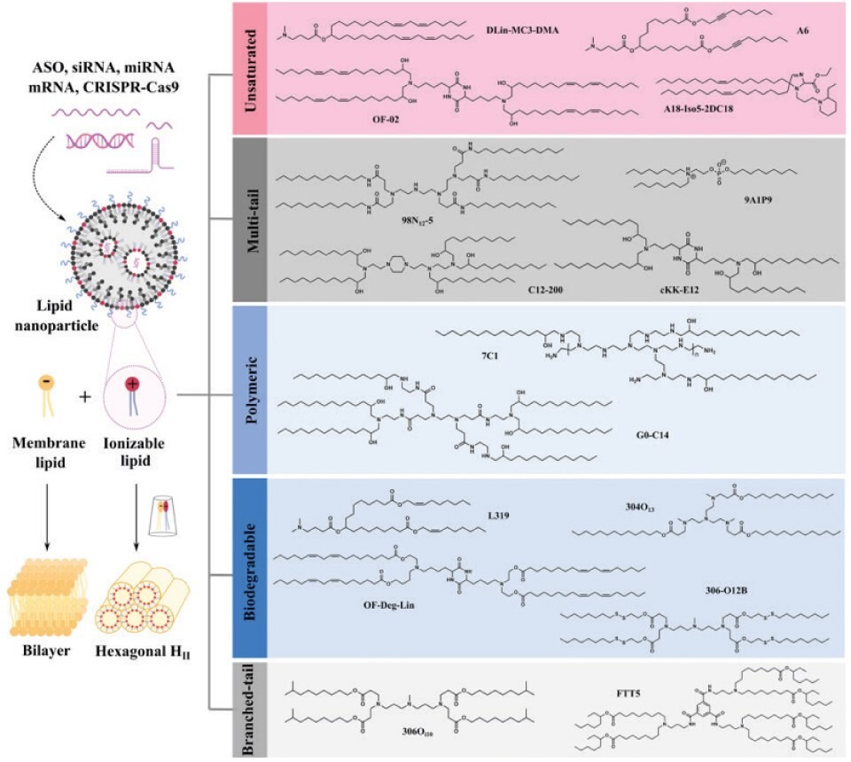 Nanocząstka lipidowa utworzona przez włączenie różnych typów mRNA do nanocząstki lipidowej. Rozdmuchana reprezentacja błony nanocząstki lipidowej pokazująca pary jonów w kształcie stożka utworzone przez anionowe fosfolipidy endosomalne (jasnożółty kolor) i protonowane jonizowalne lipidy (czerwona kula z dwoma niebieskimi ogonami), które zakłócają strukturę dwuwarstwową, aby uciec z endosomów. Po lewej stronie pokazano różne typy lipidów jonizujących dostarczających RNA, podzielone na podstawie ich struktury na nienasycone (zawierające nienasycone wiązania), wieloogonowe (zawierające więcej niż dwa ogony), polimeryczne (zawierające polimer lub dendrymer), biodegradowalne (zawierające biodegradowalne wiązania) i rozgałęzione (zawierające rozgałęziony ogon) z wieloma przykładami każdego z nich przedstawionymi wraz z ich strukturami.