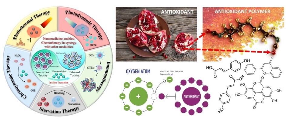 Schemat różnych terapii przeciwnowotworowych wykorzystujących nanomedycynę, które mogą działać w synergii z chemioterapią, w tym fototermiczną, fotodynamiczną, głodową, chemoynamiczną i immunoterapią. 