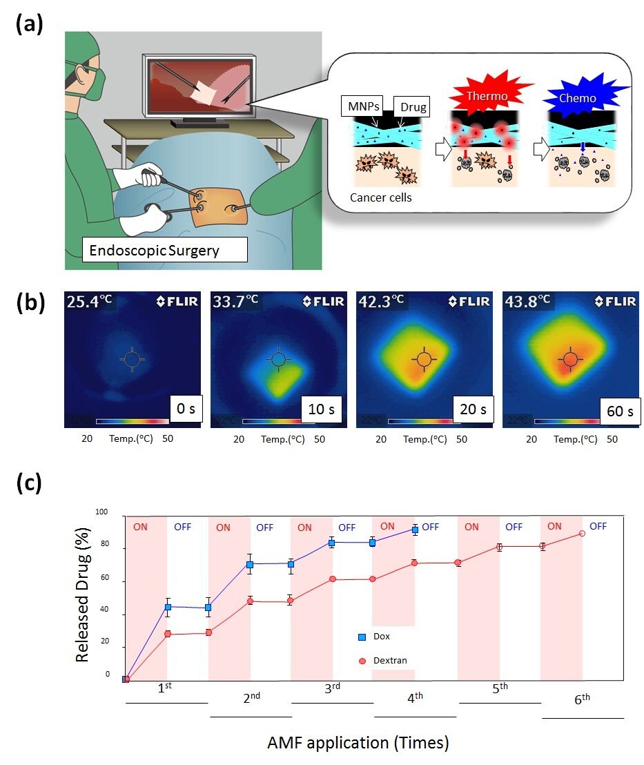 Schematic illustration for on-off switchable temperature-responsive fiber mesh for cancer thermo-chemotherapy