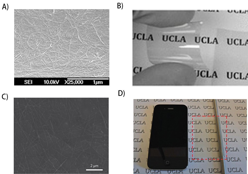 SEM image of conductive surface of the SWCNT-PtBA electrode