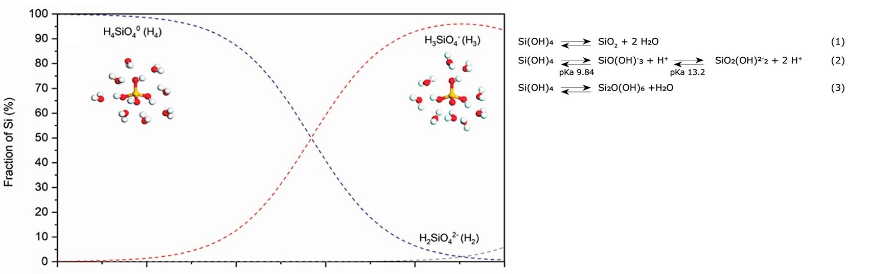 Acid-basic equilibria of silica species in aqueous solution