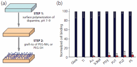 Facile grafting of antifouling polymers