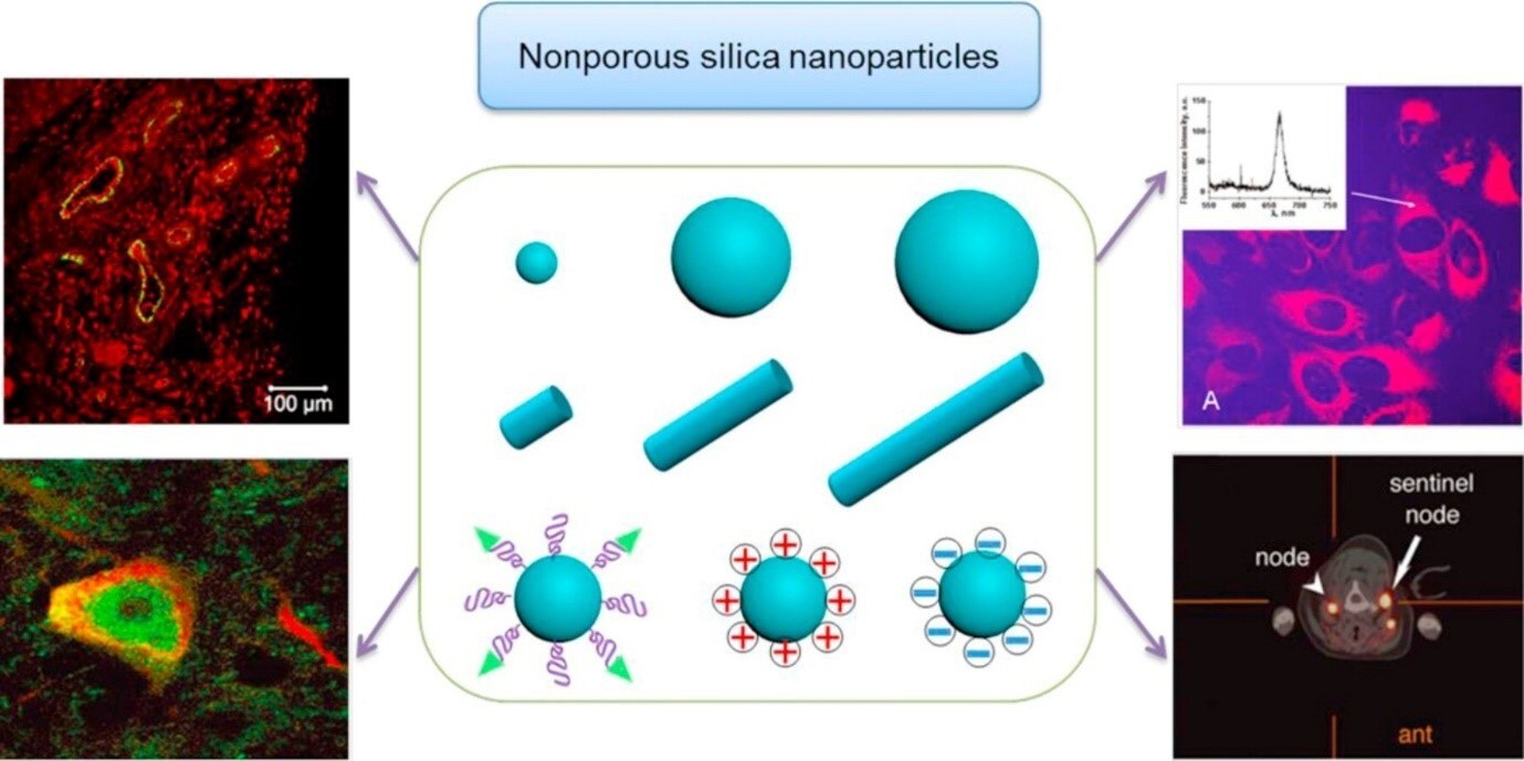 SiNPs used in nanomedicine. (Reprinted with permission from Reference 1, Frontiers Media S.A., 2018.)