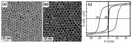 Transmission electron microscopy (TEM) images